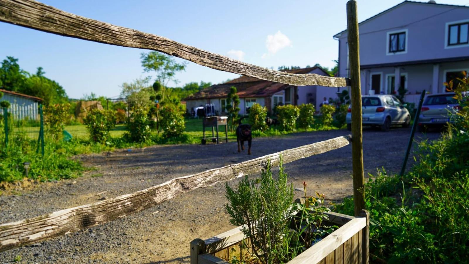 Wine House Bed & Breakfast Capannori Luaran gambar