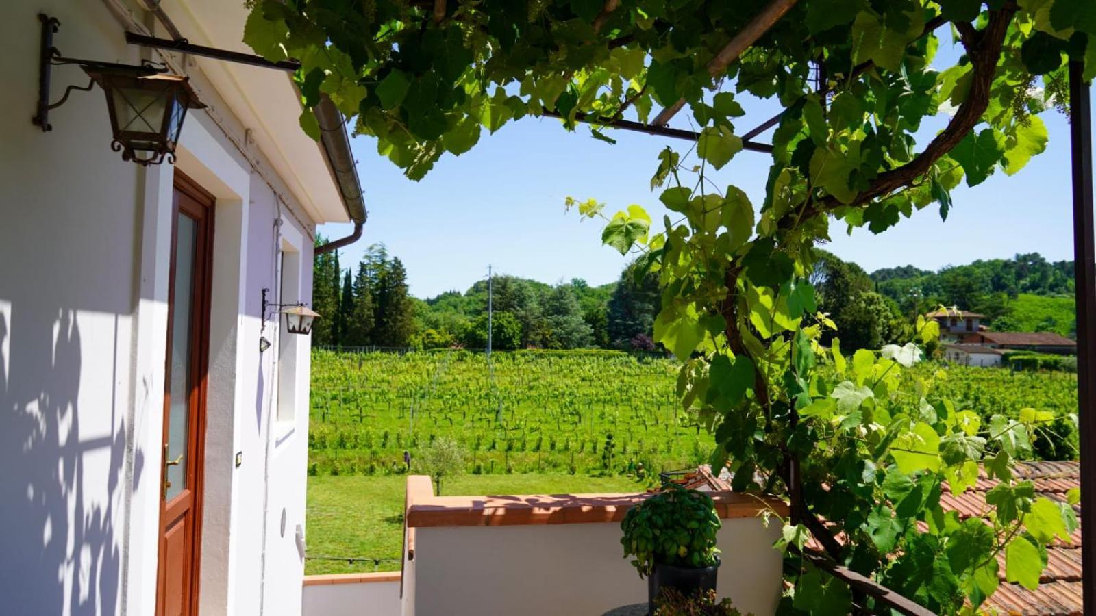 Wine House Bed & Breakfast Capannori Luaran gambar