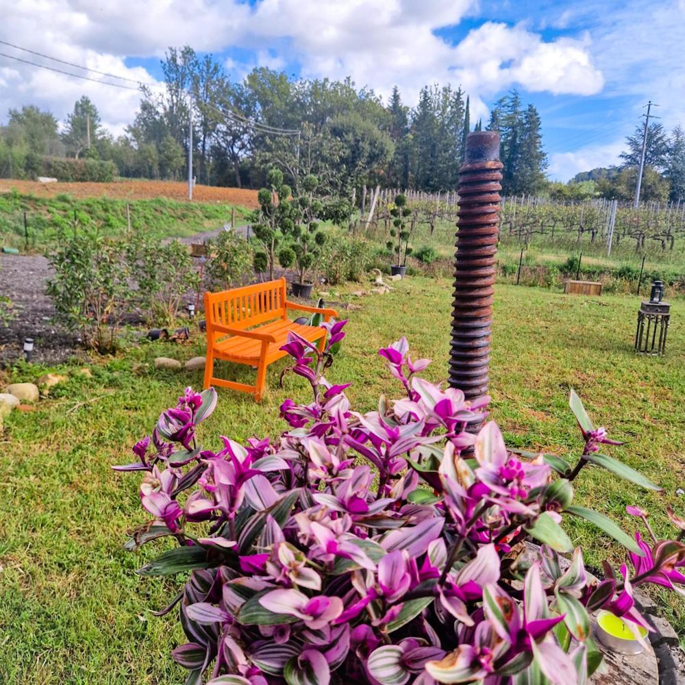 Wine House Bed & Breakfast Capannori Luaran gambar