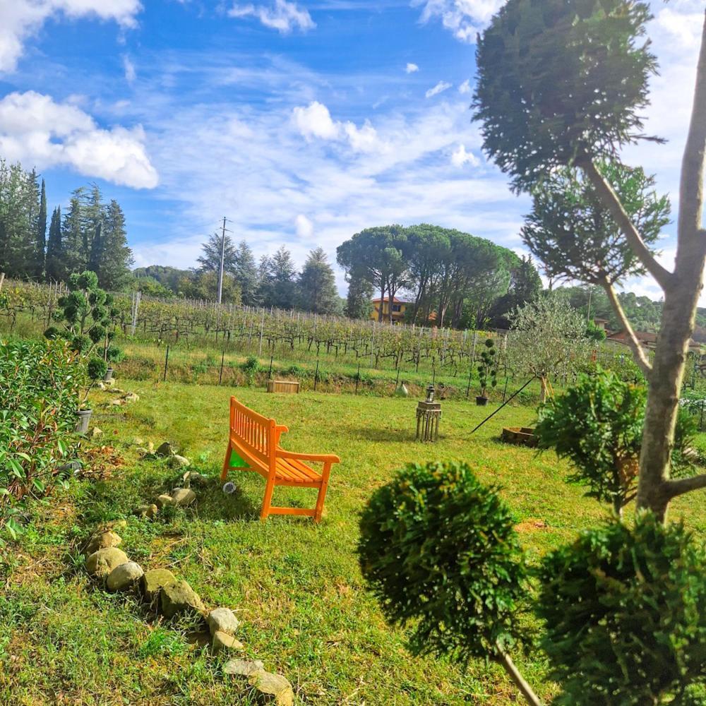 Wine House Bed & Breakfast Capannori Luaran gambar