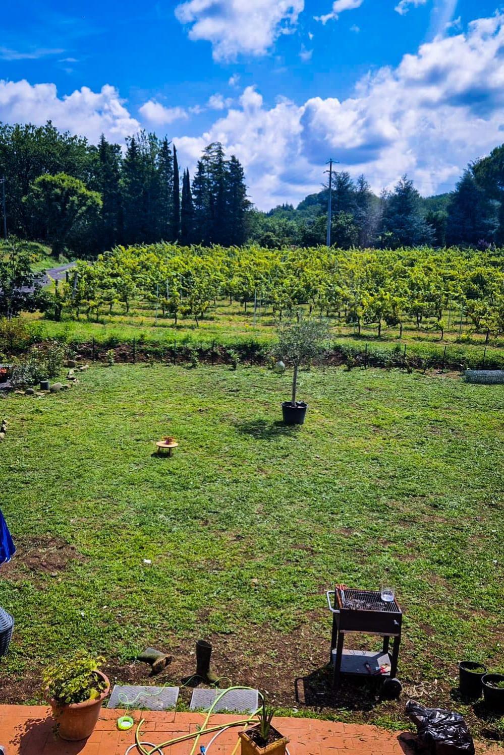 Wine House Bed & Breakfast Capannori Luaran gambar