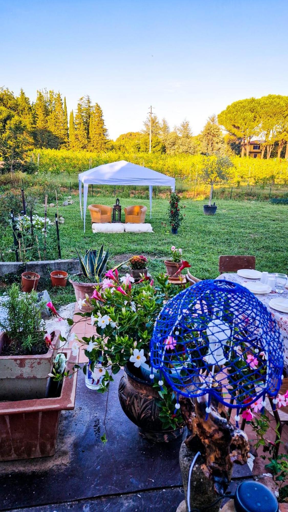Wine House Bed & Breakfast Capannori Luaran gambar